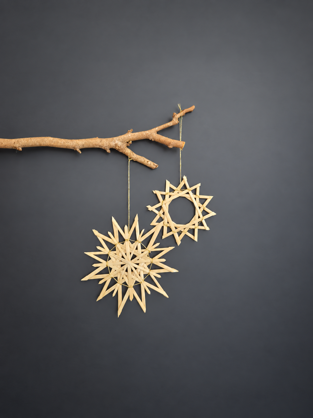Straw star ornaments hanging from branch